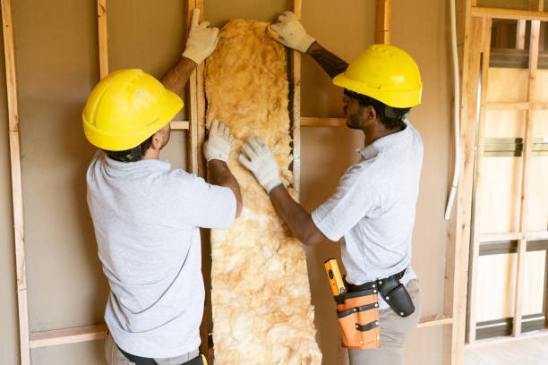Best Wall Insulation Contractor  in Sullivan Gardens, TN